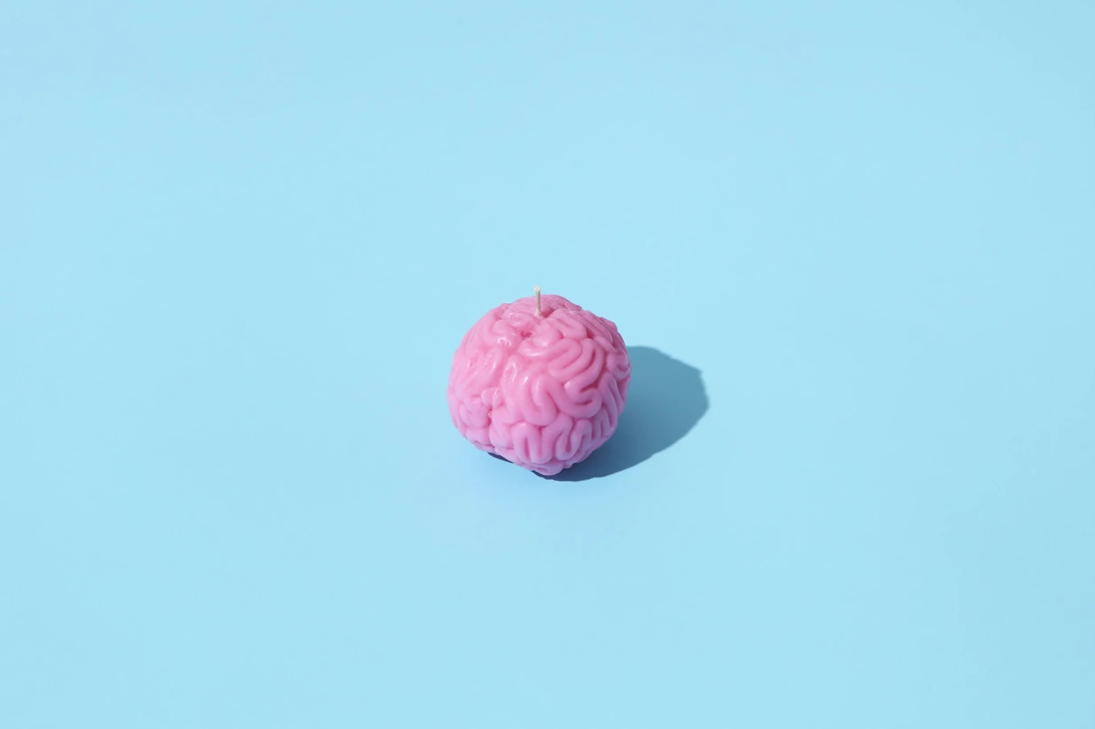Cerveau
